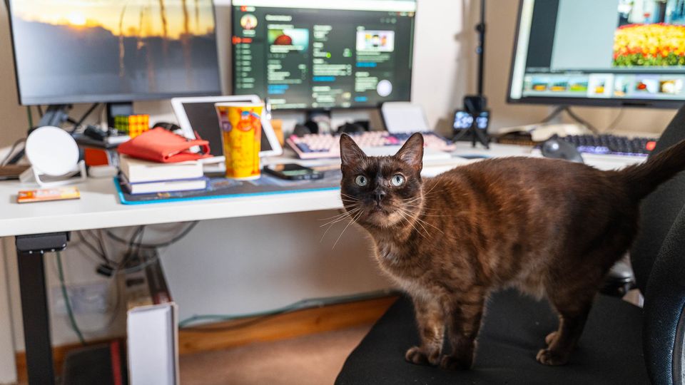 Morning Pages | 19 January 2024