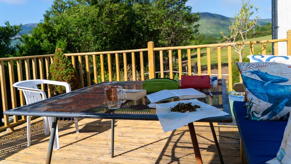 Morning Pages | 20 May 2025