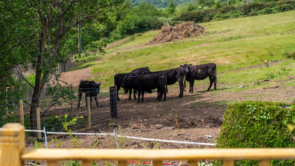 Morning Pages | 25 May 2025